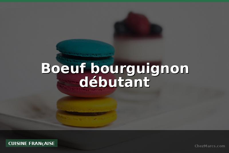 Boeuf bourguignon débutant