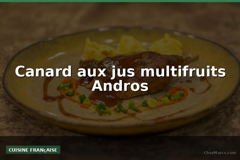 Canard aux jus multifruits Andros