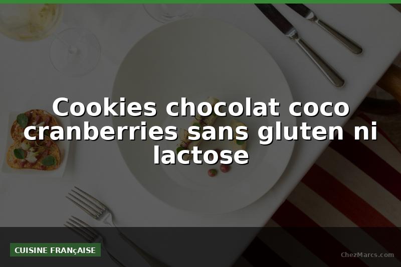 Cookies chocolat coco cranberries sans gluten ni lactose