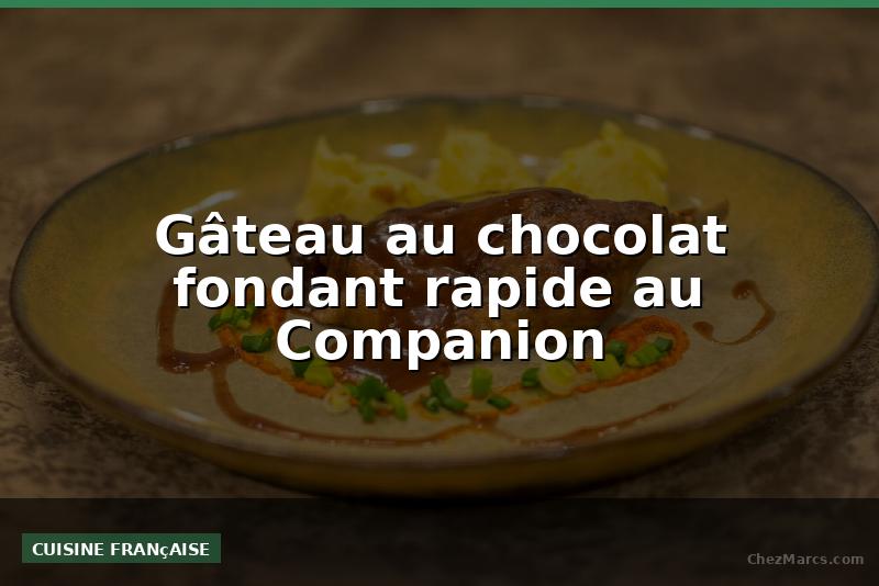 Gâteau au chocolat fondant rapide au Companion