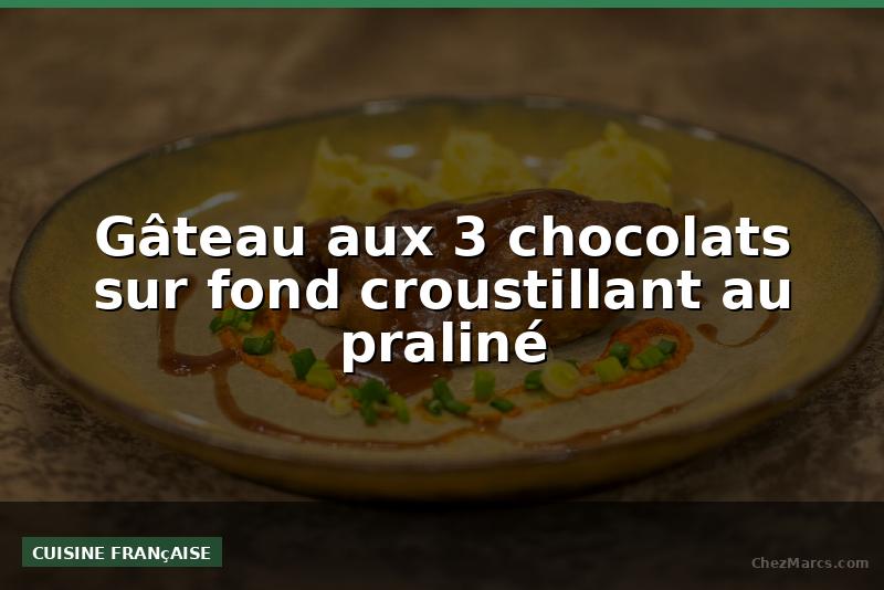 Gâteau aux 3 chocolats sur fond croustillant au praliné