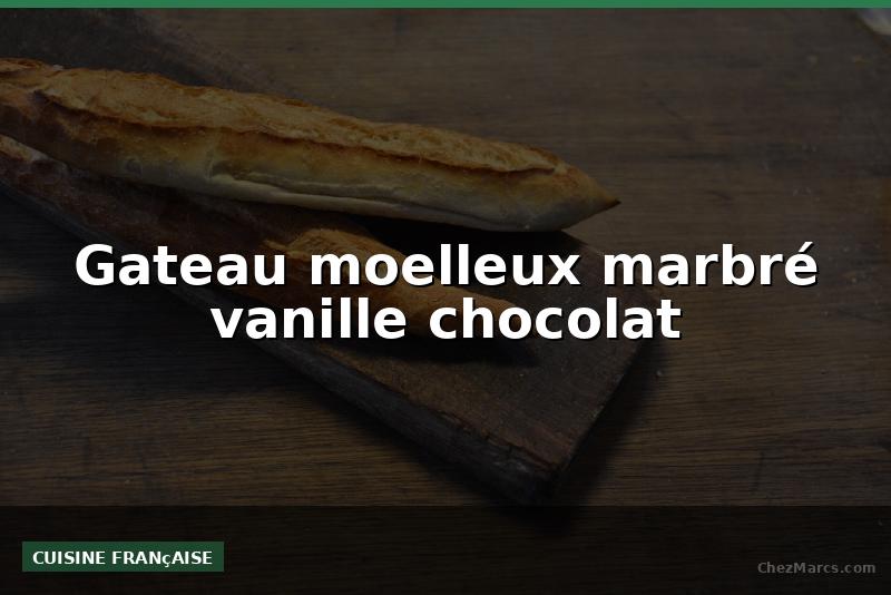 Gateau moelleux marbré vanille chocolat
