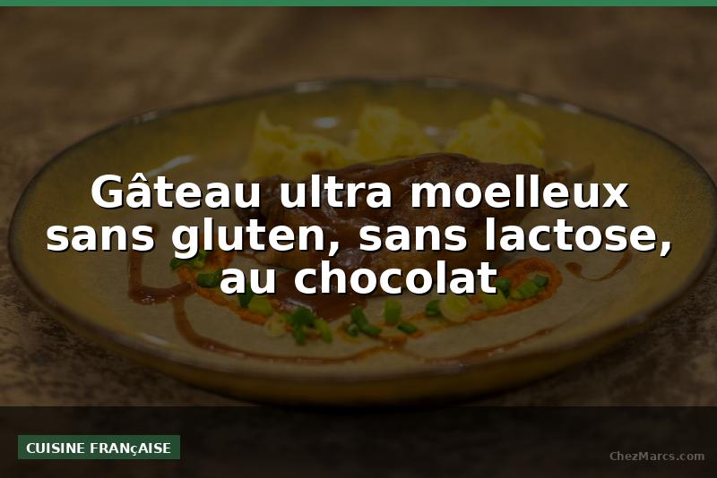 Gâteau ultra moelleux sans gluten, sans lactose, au chocolat