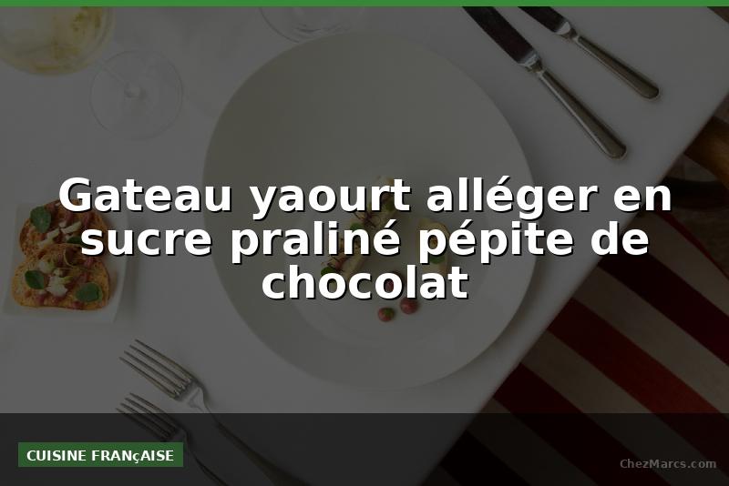 Gateau yaourt alléger en sucre praliné pépite de chocolat