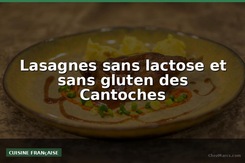 Lasagnes sans lactose et sans gluten des Cantoches