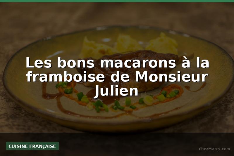 Les bons macarons à la framboise de Monsieur Julien