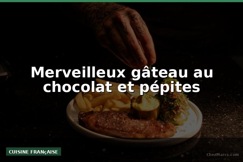 Merveilleux gâteau au chocolat et pépites