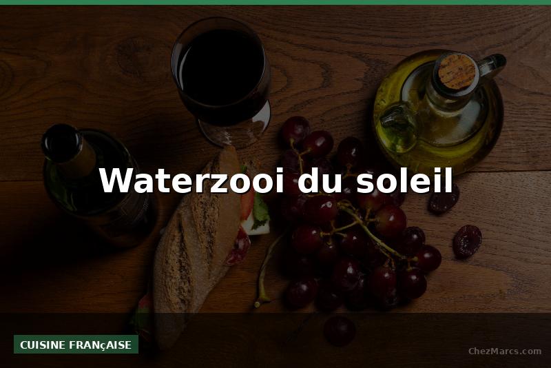 Waterzooi du soleil
